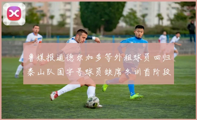 鲁媒报道德尔加多等外租球员回归泰山队国字号球员缺席冬训首阶段