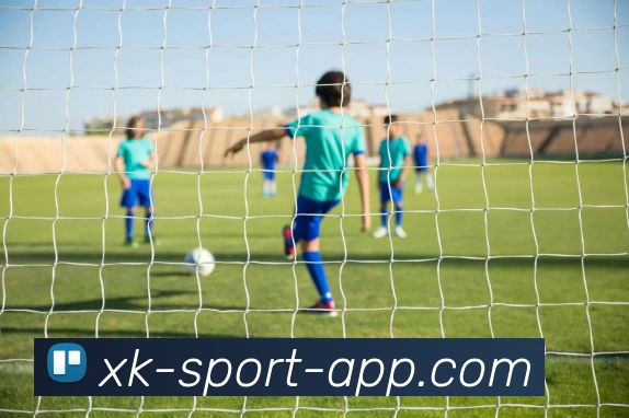 星空体育平台生态图